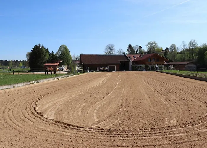 Pferdehof Pankratz Iffeldorf