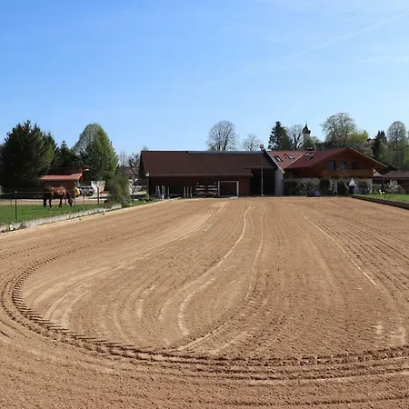 Pferdehof Pankratz Iffeldorf